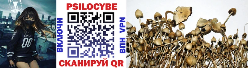 Галлюциногенные грибы Psilocybe  где найти   Белорецк 